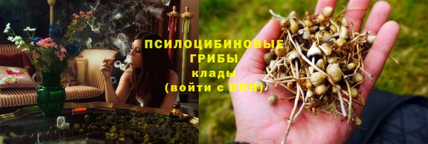 крисы Арсеньев